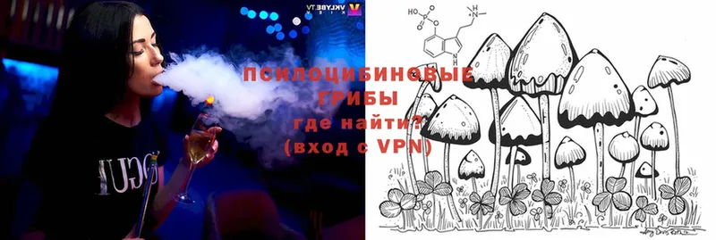 где купить наркоту  Моздок  Галлюциногенные грибы MAGIC MUSHROOMS 